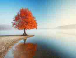 最‌新﻿搜‍索‌流‍量‌服‍务﻿平​台‍是‍什‍么‌